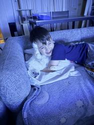 Reunited Female Cat last seen Apsley terrace berwick, Berwick, VIC 3806