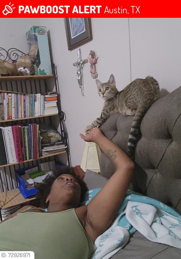 Lost Unknown Cat last seen Near and ih35, Austin, TX 78752