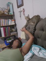Lost Unknown Cat last seen Near and ih35, Austin, TX 78752