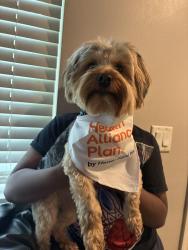 Reunited Male Dog last seen Near west s , West Bloomfield Township, MI 48322