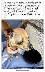 Reunited Male Dog last seen Troy & Lynhurst , Indianapolis, IN 46241