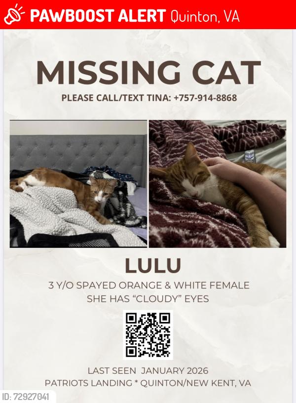 Lost Female Cat last seen Patriots Landing Neighborhood , Quinton, VA 23141
