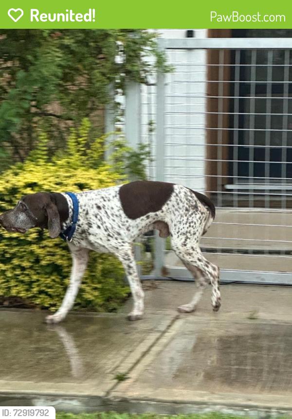 Reunited Male Dog last seen Gessner, Houston, TX 77080