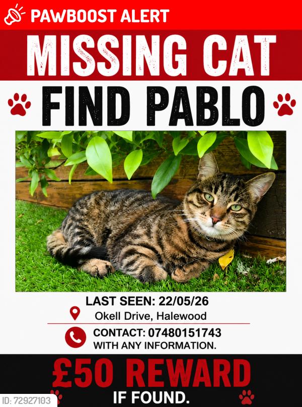 Lost Male Cat last seen Okell Drive/Harrier Drive L26, Merseyside, England L26