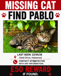 Lost Male Cat last seen Okell Drive/Harrier Drive L26 , Merseyside, England L26