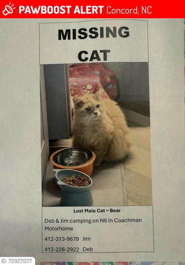 Lost Male Cat last seen Charlotte motor speedway, ZMAX Blvd,  Bruton Smith Blvd & Concord, Concord, NC 28027