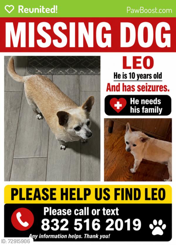 Reunited Male Dog last seen Near Meadow Village Dr, Houston, TX 77095, USA, Houston, TX 77095