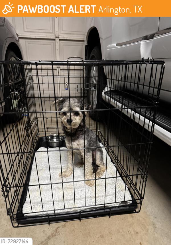Found/Stray Unknown Dog last seen Potomac pkwy 76017, Arlington, TX 76017