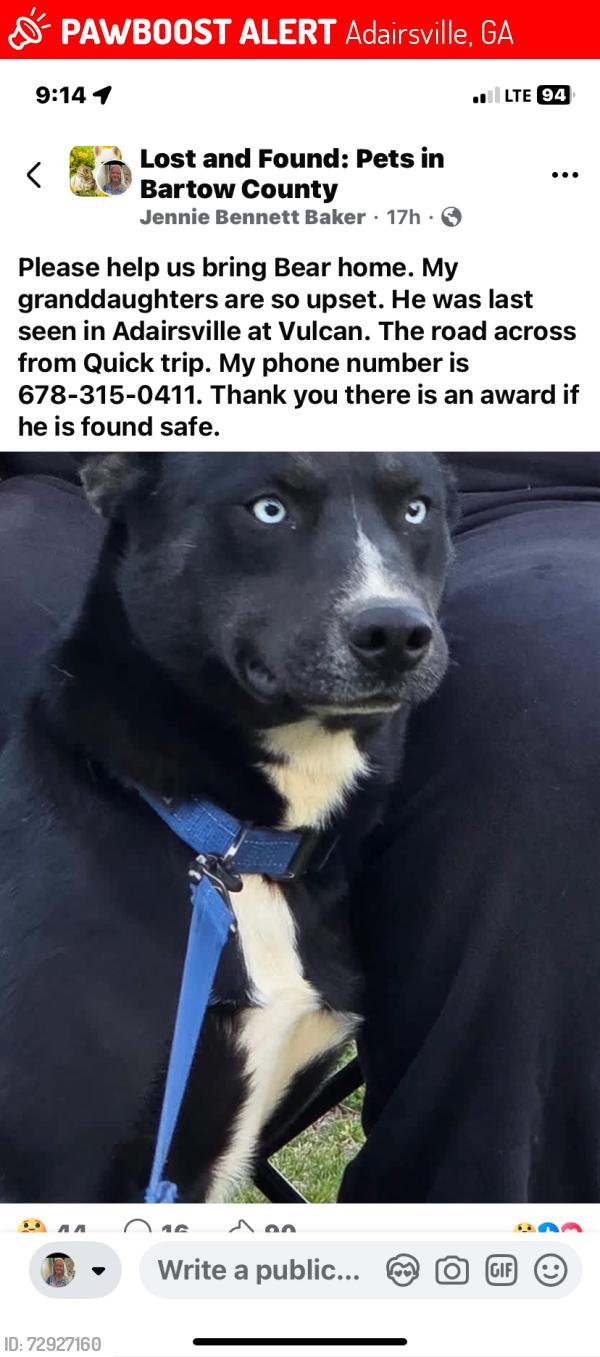 Lost Male Dog last seen Near Quiktrip, Marathon gas station in Adairsville Ga. Off of Hwy 140 , Adairsville, GA 30103