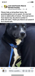 Lost Male Dog last seen Near Quiktrip, Marathon gas station in Adairsville Ga. Off of Hwy 140 , Adairsville, GA 30103