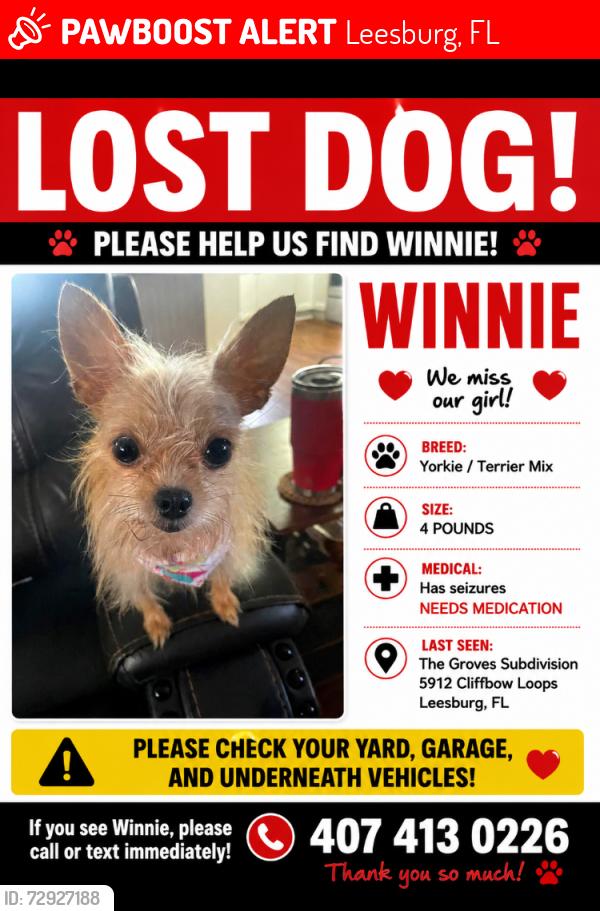 Lost Female Dog last seen US 27, Leesburg, FL 34748