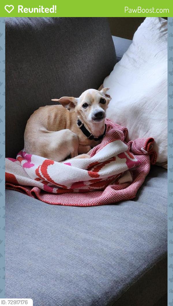 Reunited Male Dog last seen Winfreys , Wenham, MA 01984