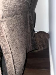 Reunited Unknown Cat last seen Near street 111 ave, Edmonton, AB 