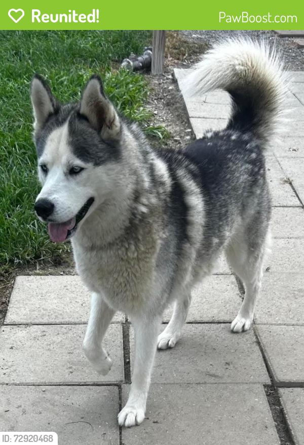 Reunited Female Dog last seen Glenhaven dr, Fredericksburg, VA 22407