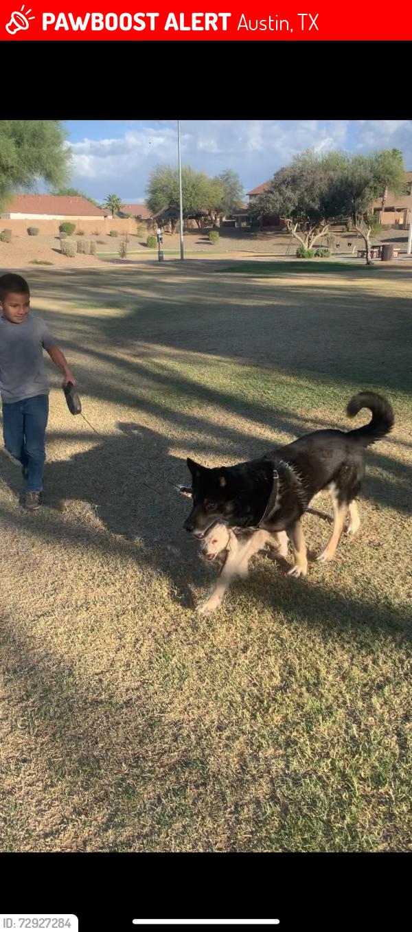 Lost Male Dog last seen Walnut creek, Austin, TX 78753