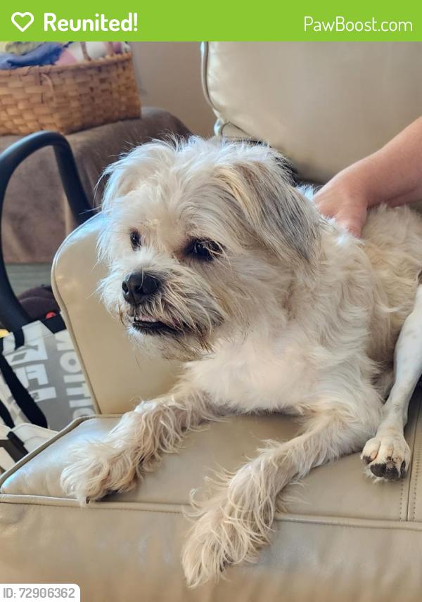 Reunited Female Dog last seen Platte City YMCA, i-29, Platte City, MO 64079