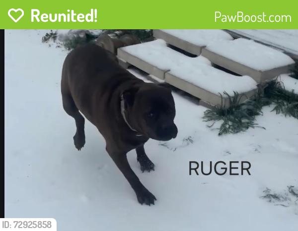 Reunited Male Dog last seen FM 3728 & County Road 140, Kaufman, TX 75142