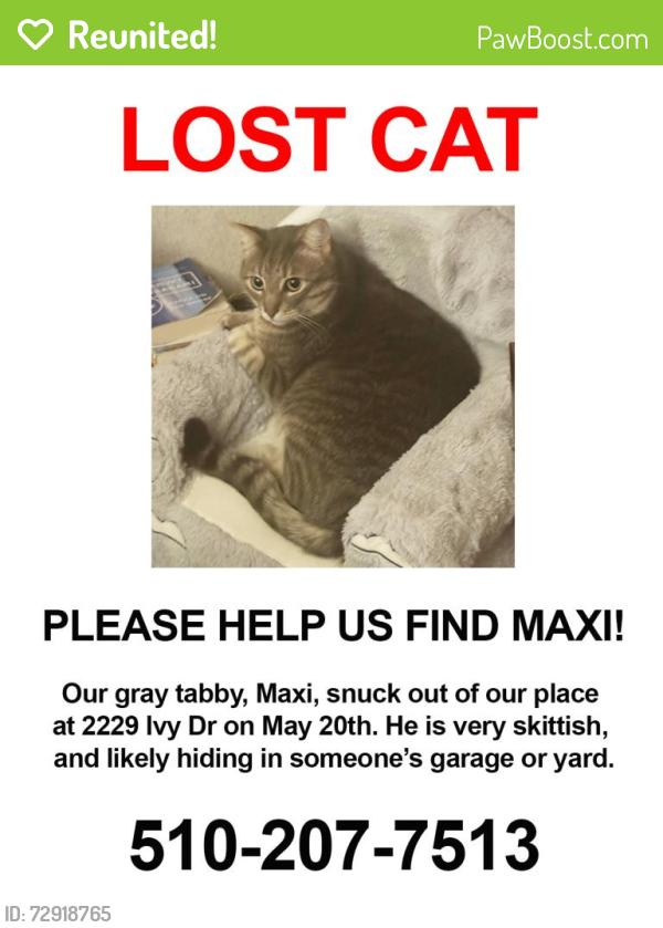 Reunited Male Cat last seen Ivy Drive and 23rd street , Oakland, CA 94606