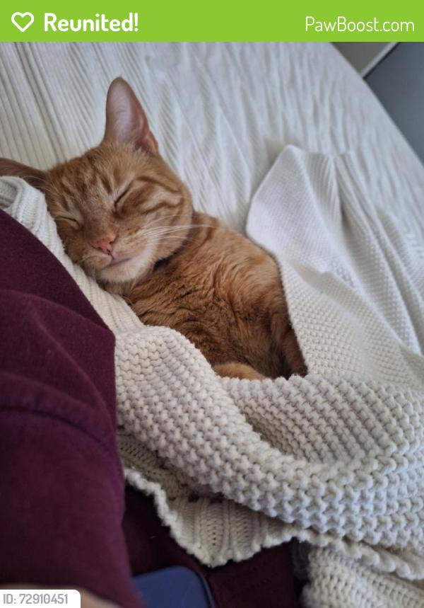 Reunited Male Cat last seen Near South and 2000 East, Salt Lake City, UT 84106