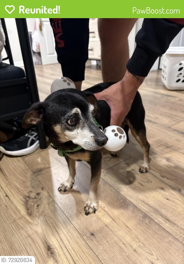 Reunited Male Dog last seen Near block of Briarcliff , Monrovia, CA 91016