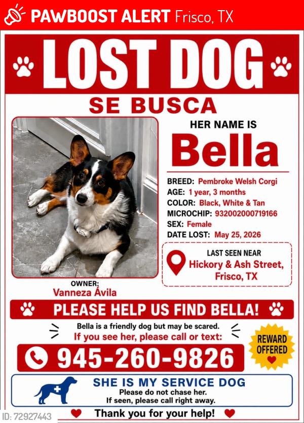 Lost Female Dog last seen Hickory st, Frisco, TX 75034