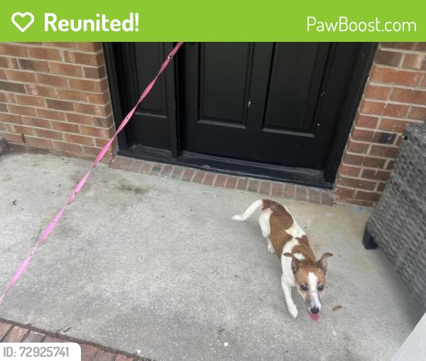 Reunited Female Dog last seen Pamalee Dr and Blanton Rd, Fayetteville, NC 28303