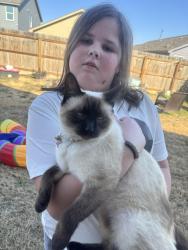 Lost Female Cat last seen Swift fox trail, New Braunfels, TX 78132