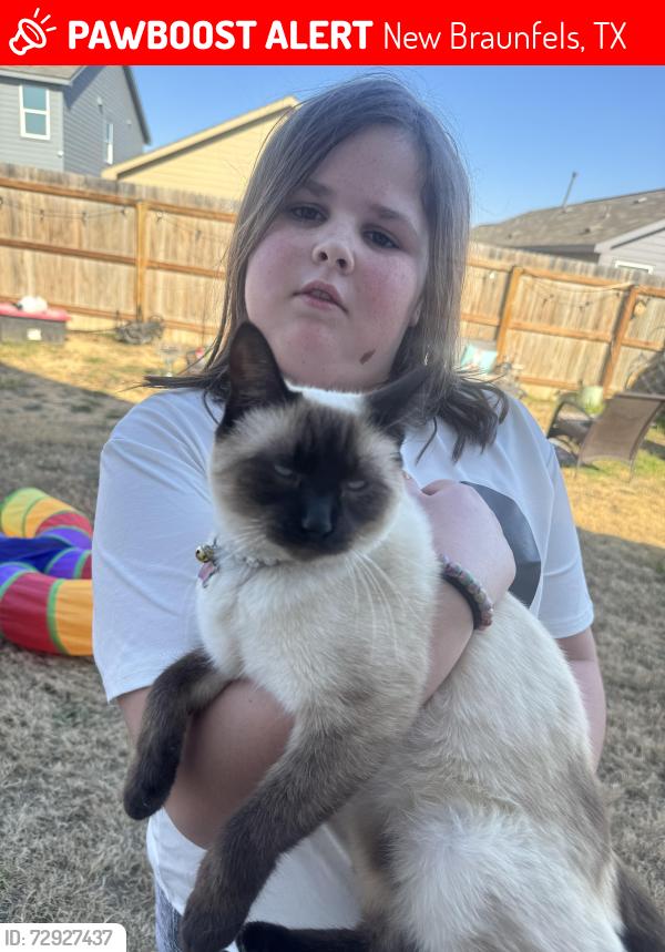 Lost Female Cat last seen Swift fox trail, New Braunfels, TX 78132