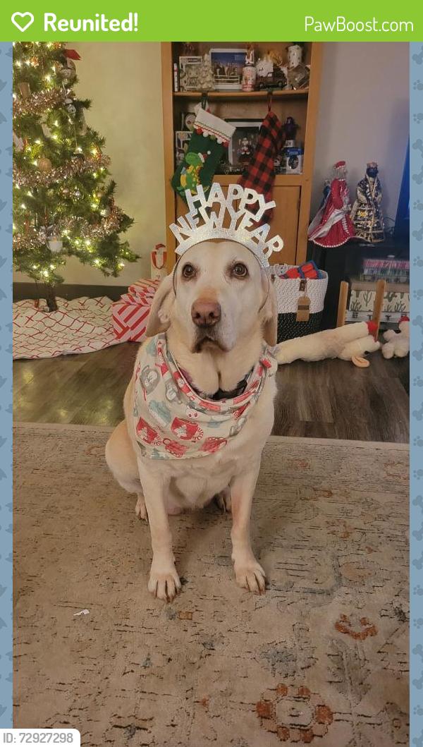 Reunited Female Dog last seen Near Aztec Ln, Henderson, NV 89015, USA, Henderson, NV 89015