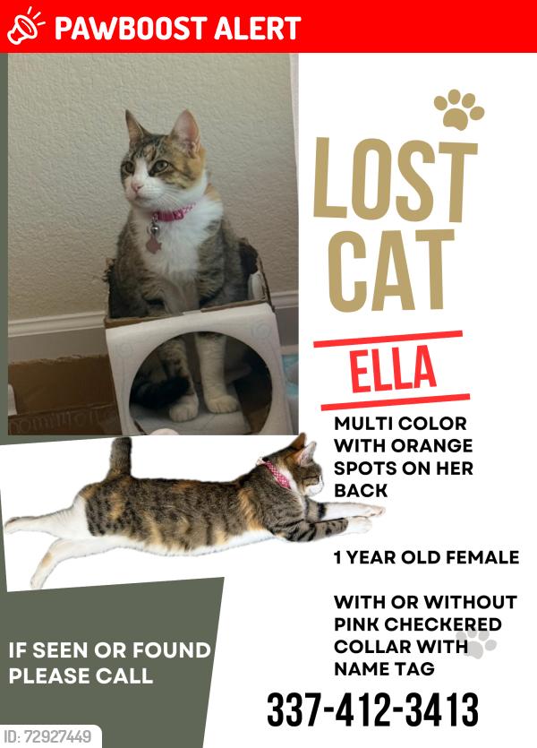 Lost Female Cat last seen Greenwood Drive, Woodland Crossing, LA 70726