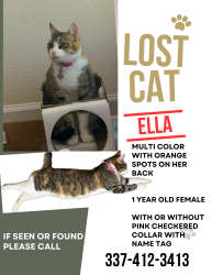 Lost Female Cat last seen Greenwood Drive, Woodland Crossing, LA 70726
