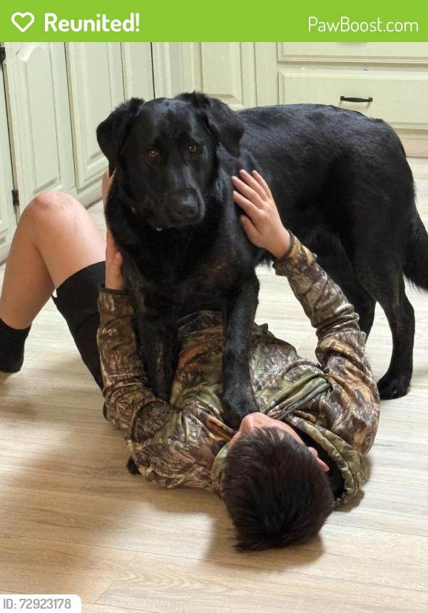 Reunited Female Dog last seen East Trap Pond Rd, Whaleys corner Rd, Georgetown, DE 19947