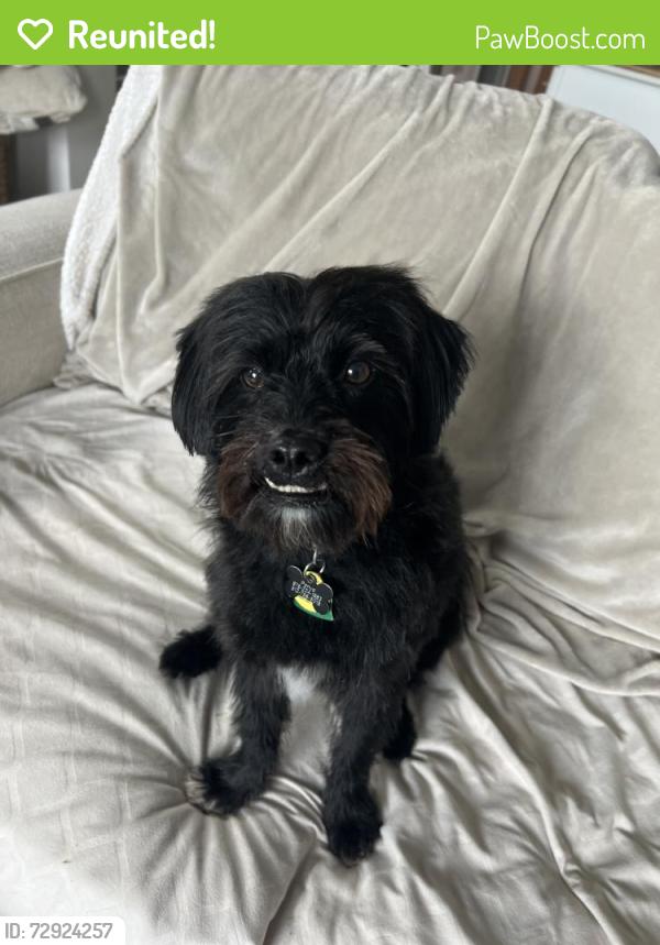 Reunited Female Dog last seen Mopac and Parmer Ln , Austin, TX 78727