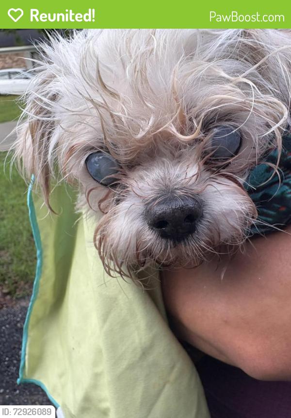 Reunited Unknown Dog last seen Aden Hills off of Yorkhaven , Mobile, AL 36602