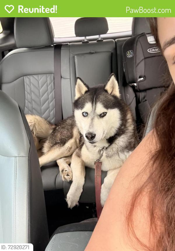 Reunited Male Dog last seen Grace Park Rd, New Braunfels, TX 78130