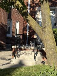 Reunited Unknown Dog last seen Margareta, Detroit, MI 48221