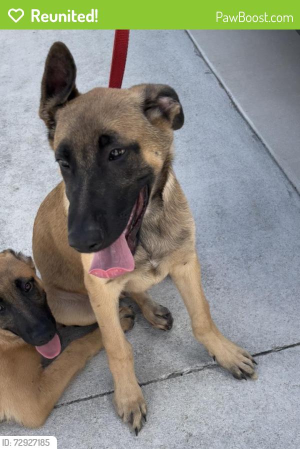 Reunited Unknown Dog last seen Port St. Lucie, Port St. Lucie, FL 34986