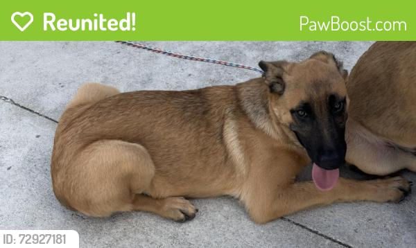 Reunited Unknown Dog last seen Port St. Lucie, Port St. Lucie, FL 34986