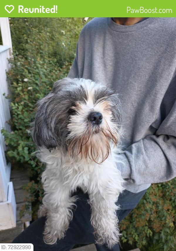 Reunited Male Dog last seen Alexander Park near Union, Grand Rapids, MI 49507
