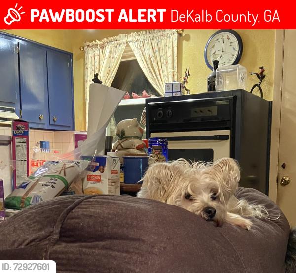 Lost Female Dog last seen Northcrest Rd, Northcrest subdivision , DeKalb County, GA 30340
