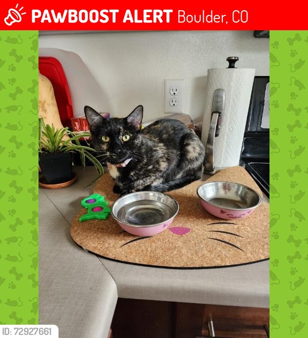 Lost Female Cat last seen meredith, Boulder, CO 80301