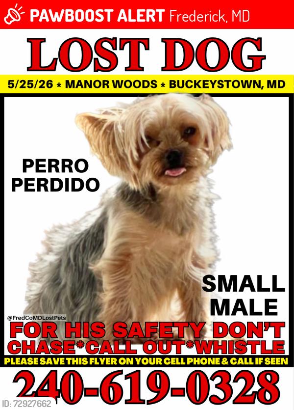 Lost Male Dog last seen Manor Wood Rd, Frederick, MD 21703