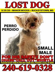 Lost Male Dog last seen Manor Wood Rd, Frederick, MD 21703