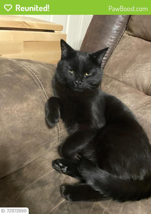 Reunited Male Cat last seen Air port road , Ormond Beach, FL 32174