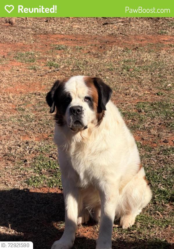 Reunited Male Dog last seen Rankin, ridgecrest, Edmond, OK 73013