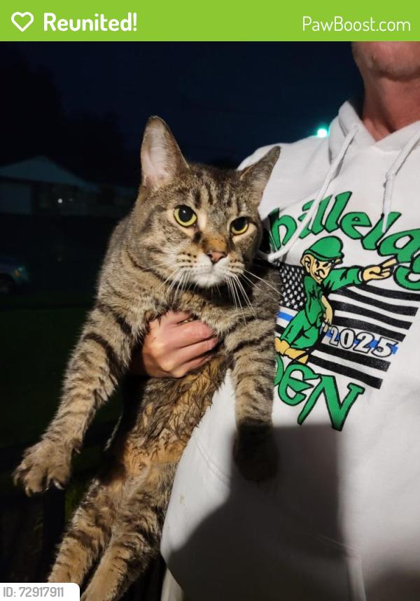 Reunited Male Cat last seen Jessup Road, Tallahassee off of Cheviot Road, White Oak, OH 45239