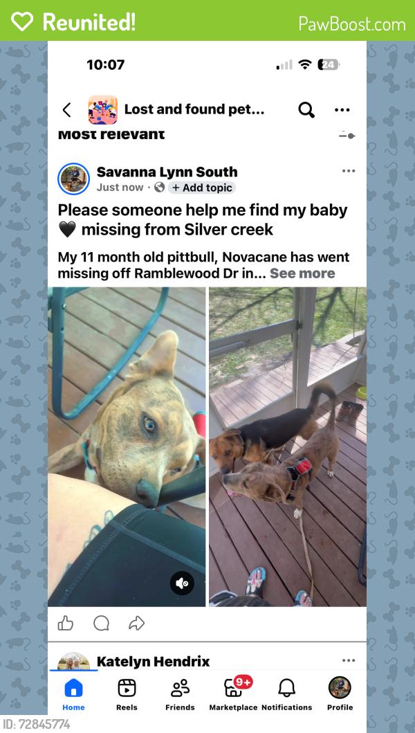 Reunited Male Dog last seen Ridgewood ests , Silver Creek, GA 30173