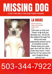 Reunited Female Dog last seen Se 91st Foster rd , Portland, OR 97266