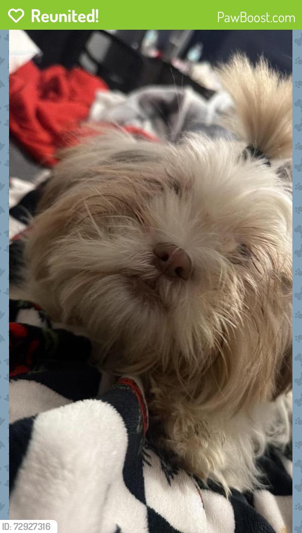 Reunited Female Dog last seen Near Stuart Rd, Denton, TX 76207, USA, Denton, TX 76207