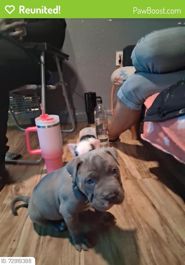 Reunited Male Dog last seen 6th and forest , Victorville, CA 92395